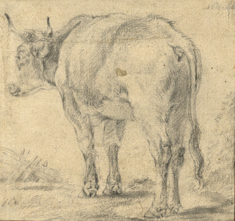 Attrib. Adriaen Van de Velde, Cow Study – 17th-century graphite drawing