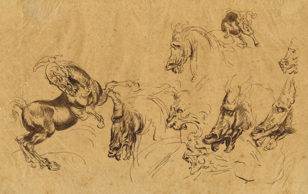 Study of Horses, Battle of Anghiari after Leonardo da Vinci 19th-century drawing