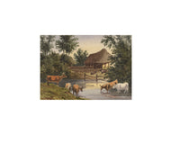 William James Müller