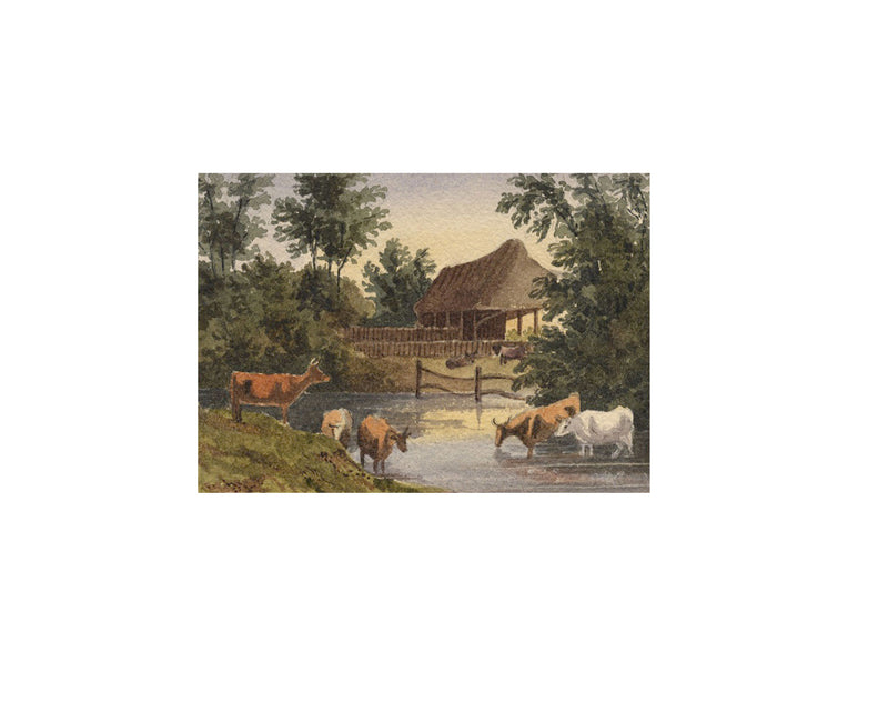 William James Müller