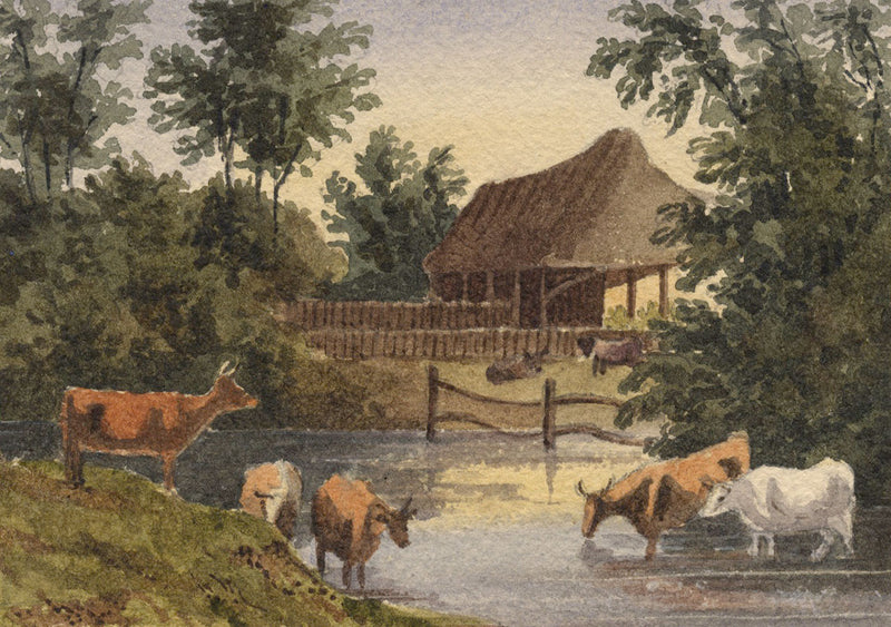 William James Müller