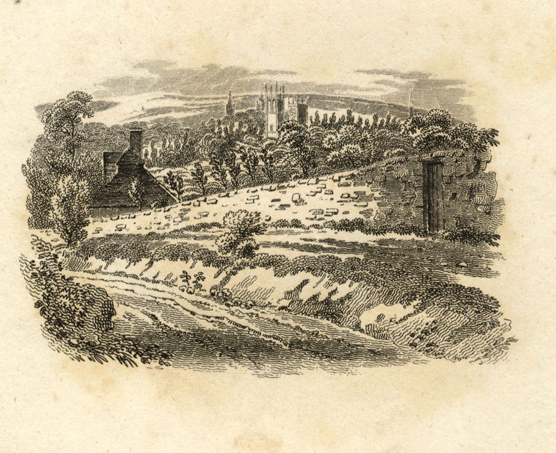 View of Cathedral – Original early 19th-century engraving print