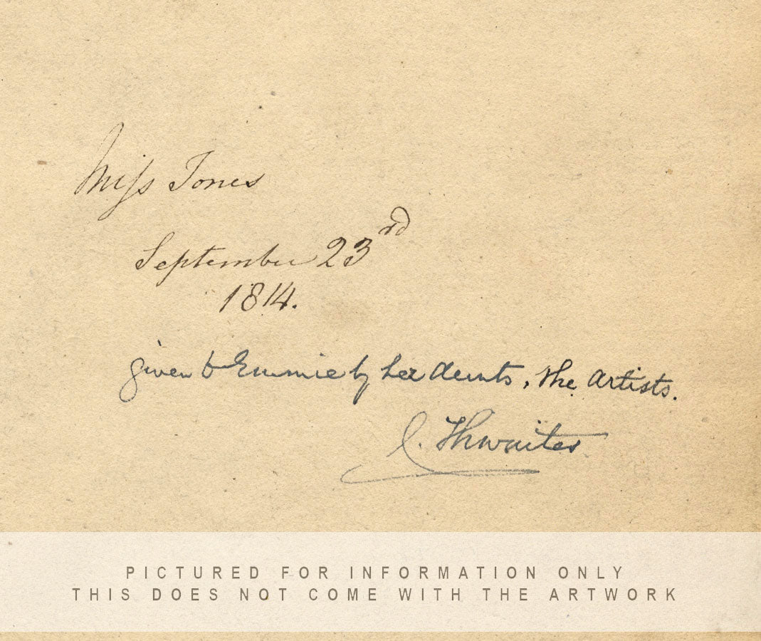 Thwaites, Erica Curviflora Studio di fiori di erica – acquerello del 1814