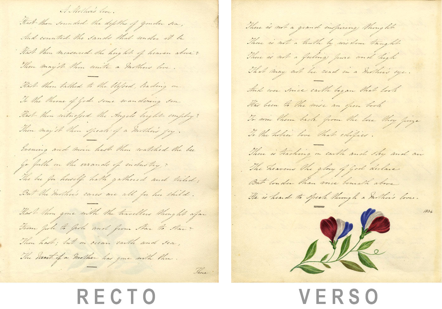 Poesia in rame, Amore materno di Emily Taylor e dipinto di fiori di pisello odoroso del 1834
