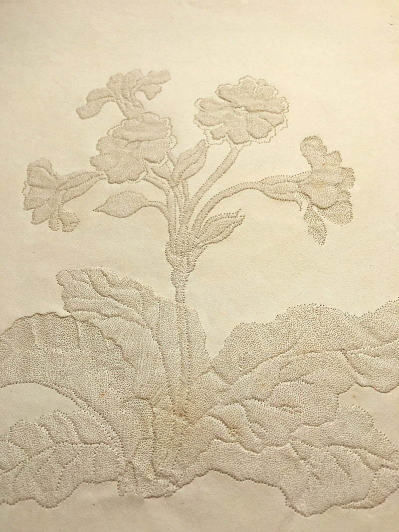 Original early 19th-century Pin-Prick Picture – Primrose Flower