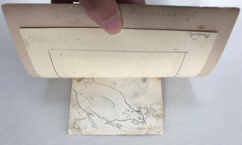 Attribuzione di Marmaduke Cradock, Polli – Incisione acquerellata del XVII secolo