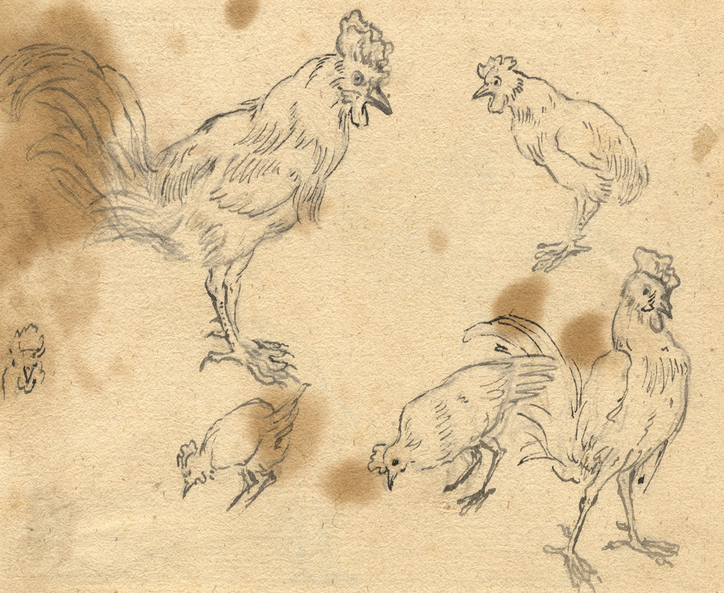 Attrib. Marmaduke Cradock