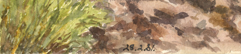 Fiume Lions, Caversham, Natal, Sudafrica – Acquerello originale del 1930