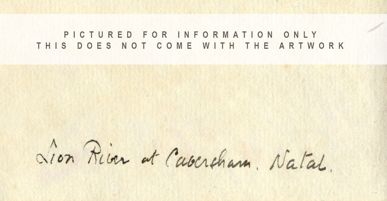 Fiume Lions, Caversham, Natal, Sudafrica – Acquerello originale del 1930