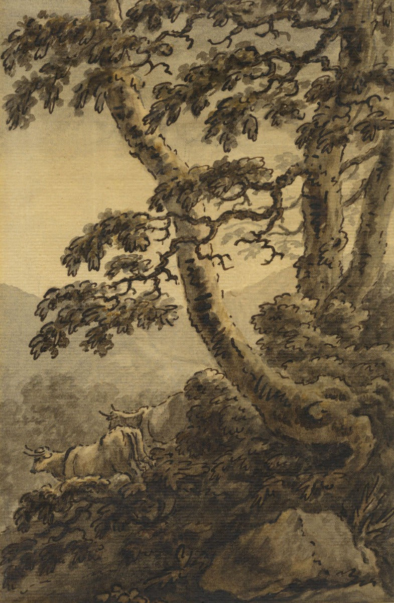 Sir Richard Colt Hoare