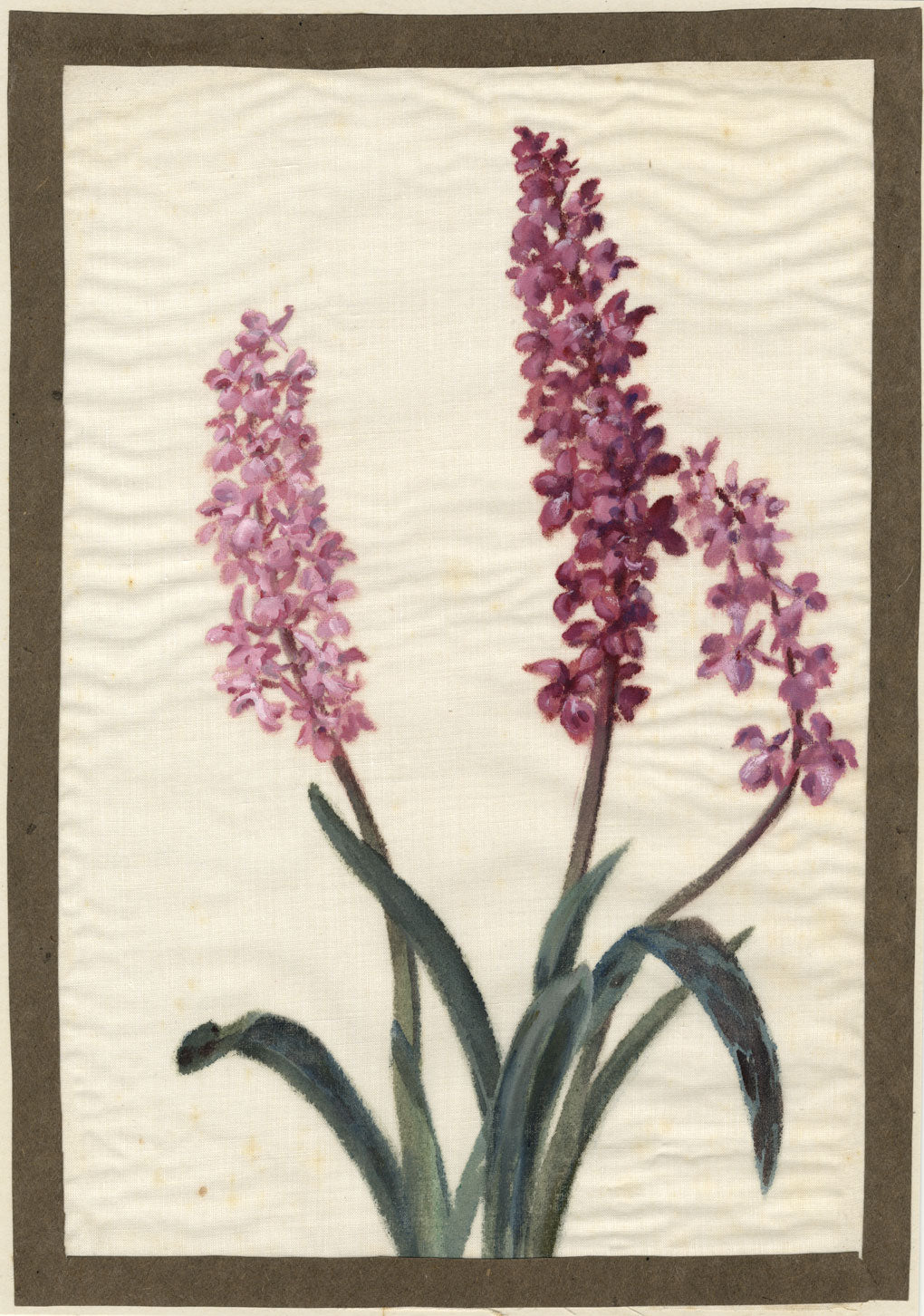Northern Marsh Orchid Flower – early 20th-century watercolour on linen gauze