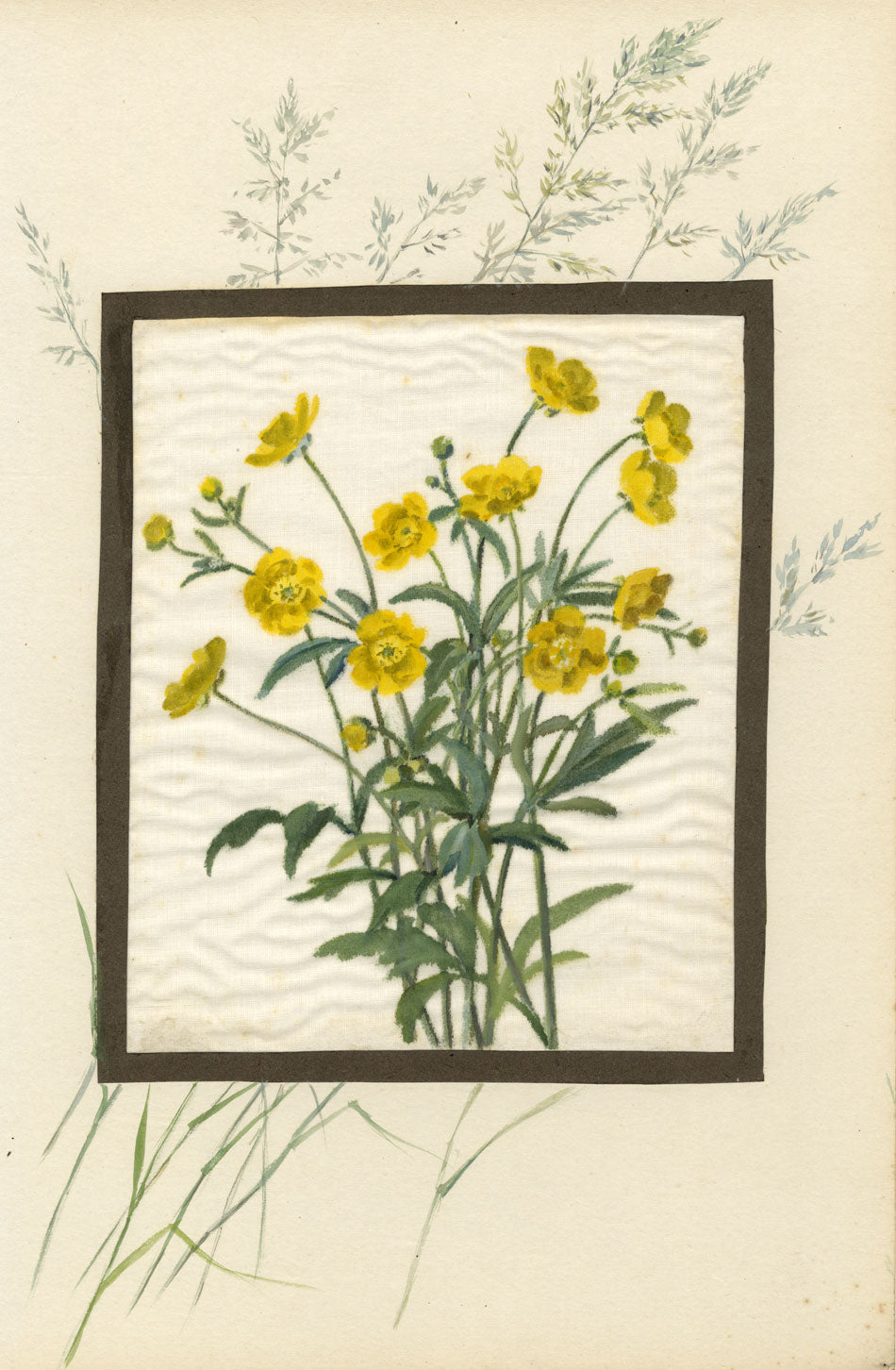 Greater Spearwort Flower & Grass – early 20th-century watercolour on linen gauze