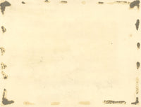 James Holland OWS, Rose & Bindweed Flowers – mid-19th-century watercolour