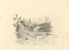River Cascades with Stone Bridge – Original early 19th-century graphite drawing