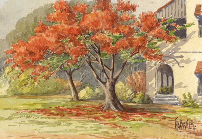 F.A. Baker, Continental Flowering Tree – early 20th-century watercolour painting