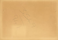 F.A. Baker, Continental Flowering Tree – early 20th-century watercolour painting