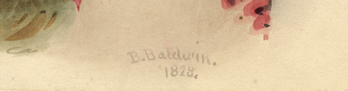 B. Baldwin, Giovane donna all'aperto con mantello e cappello di paglia – acquerello del 1828