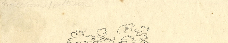 William Pattison, Victorian House &amp; Garden – disegno a penna e inchiostro della metà del XIX secolo