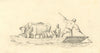 Animal Livestock Transported by Punt Boat – mid-19th-century pen & ink drawing