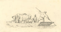 Animal Livestock Transported by Punt Boat – mid-19th-century pen & ink drawing