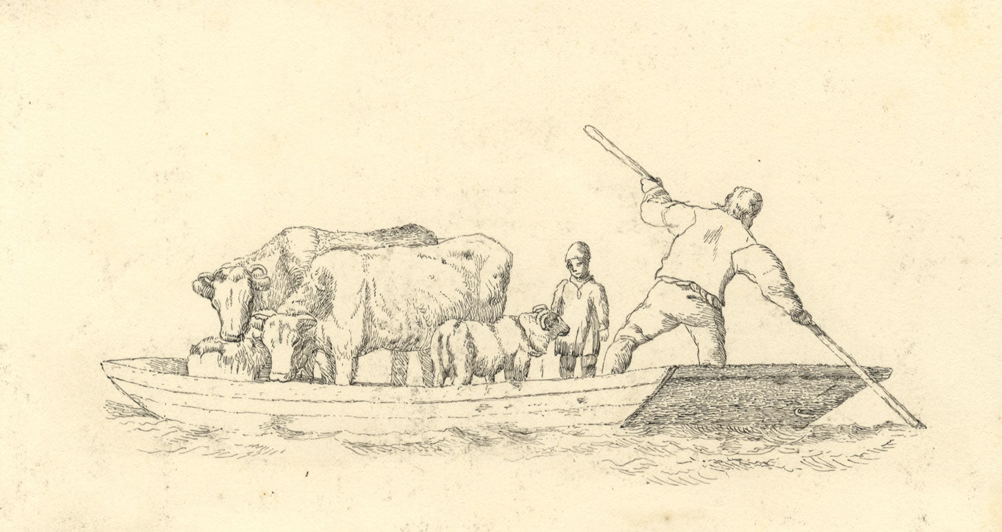 Animal Livestock Transported by Punt Boat – mid-19th-century pen & ink drawing