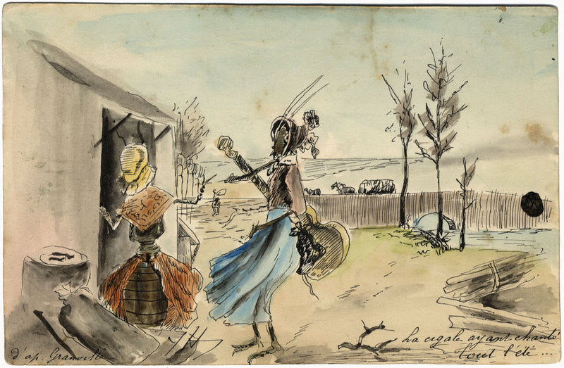 After Grandville, The Cicada Having Sung all Summer – c.1900s pen & ink drawing