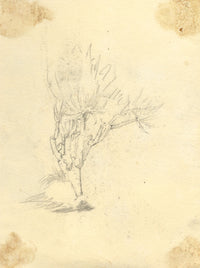 GG, Casco antiguo con campanario, Liguria, Riviera italiana – dibujo a grafito de c. 1904