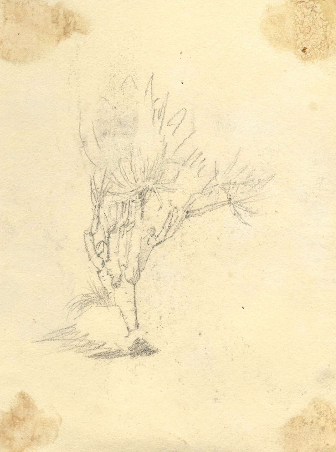 GG, Casco antiguo con campanario, Liguria, Riviera italiana – dibujo a grafito de c. 1904