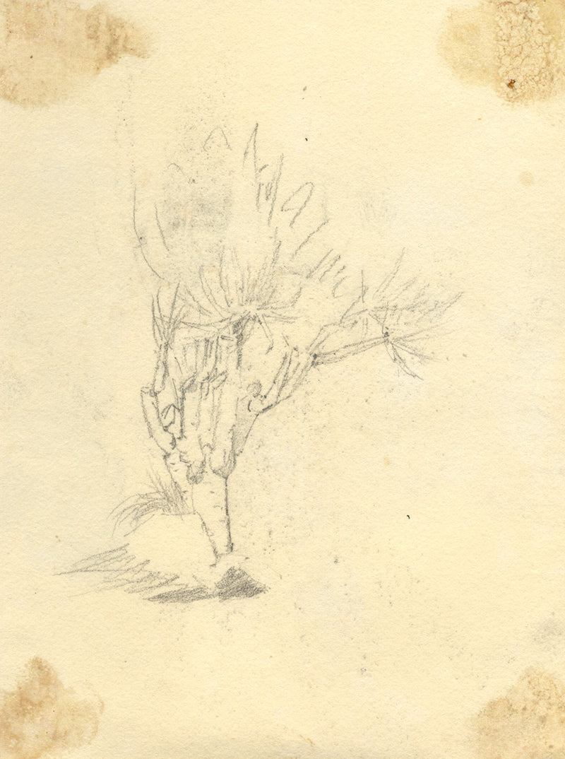 GG, Casco antiguo con campanario, Liguria, Riviera italiana – dibujo a grafito de c. 1904