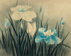 Circle of Lowell Blair Nesbitt, Iris Flowers 1 – mid-20th-century watercolour