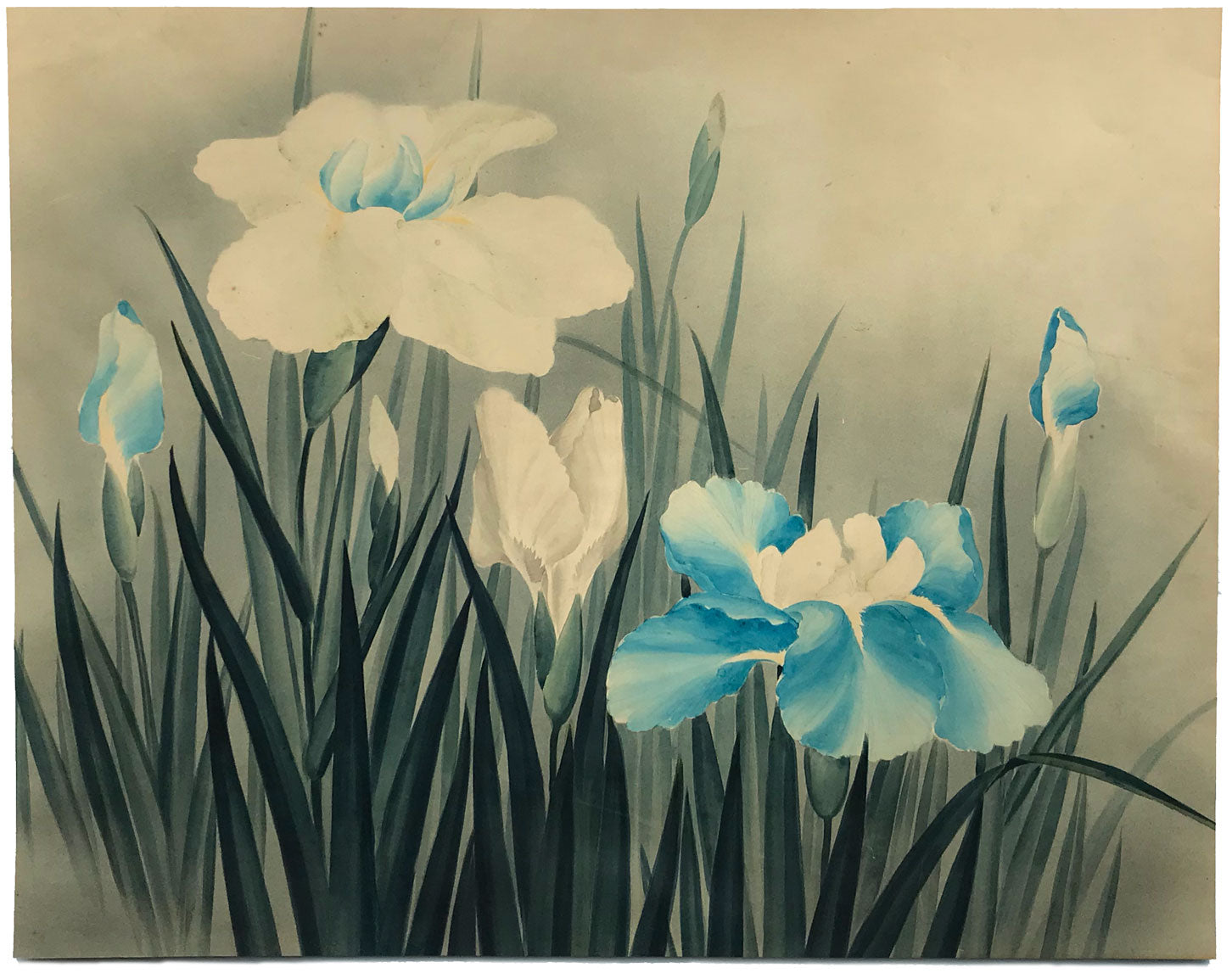 Cerchio di Lowell Blair Nesbitt, Fiori di iris 1 – acquerello della metà del XX secolo