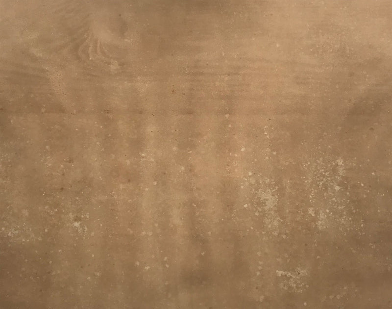 Cerchio di Lowell Blair Nesbitt, Fiori di iris 1 – acquerello della metà del XX secolo