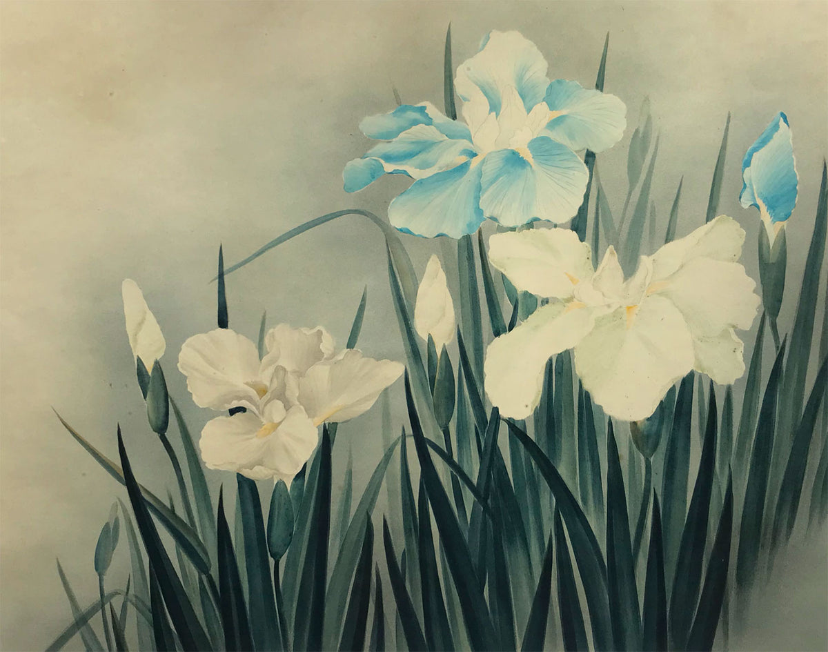 Circle of Lowell Blair Nesbitt, Iris Flowers 2 – mid-20th-century watercolour