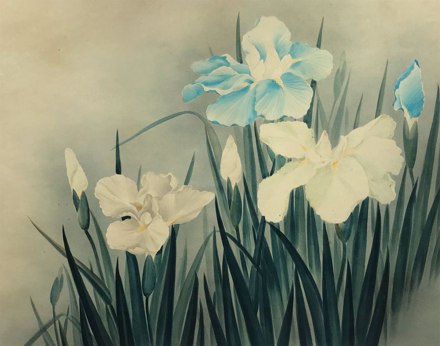 Circle of Lowell Blair Nesbitt, Iris Flowers 2 – mid-20th-century watercolour