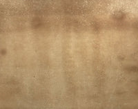 Circle of Lowell Blair Nesbitt, Iris Flowers 2 – mid-20th-century watercolour