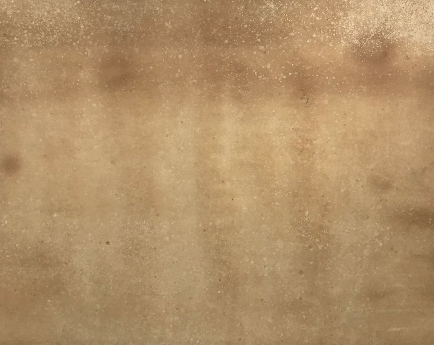 Circle of Lowell Blair Nesbitt, Iris Flowers 2 – mid-20th-century watercolour