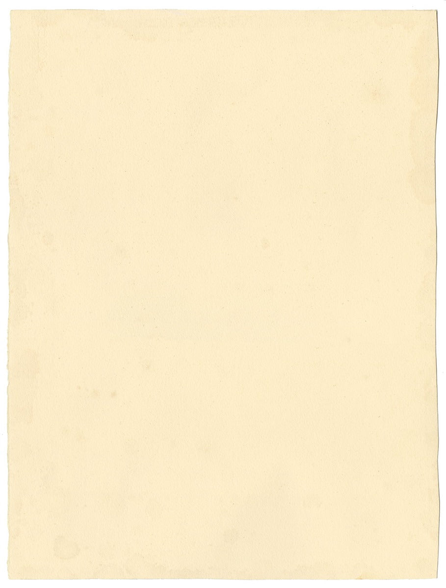 Stanley Reece, Fiore di papavero blu dell'Himalaya – acquerello del 1989