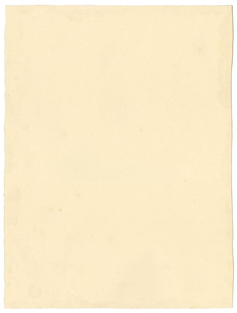 Stanley Reece, Fiore di papavero blu dell'Himalaya – acquerello del 1989