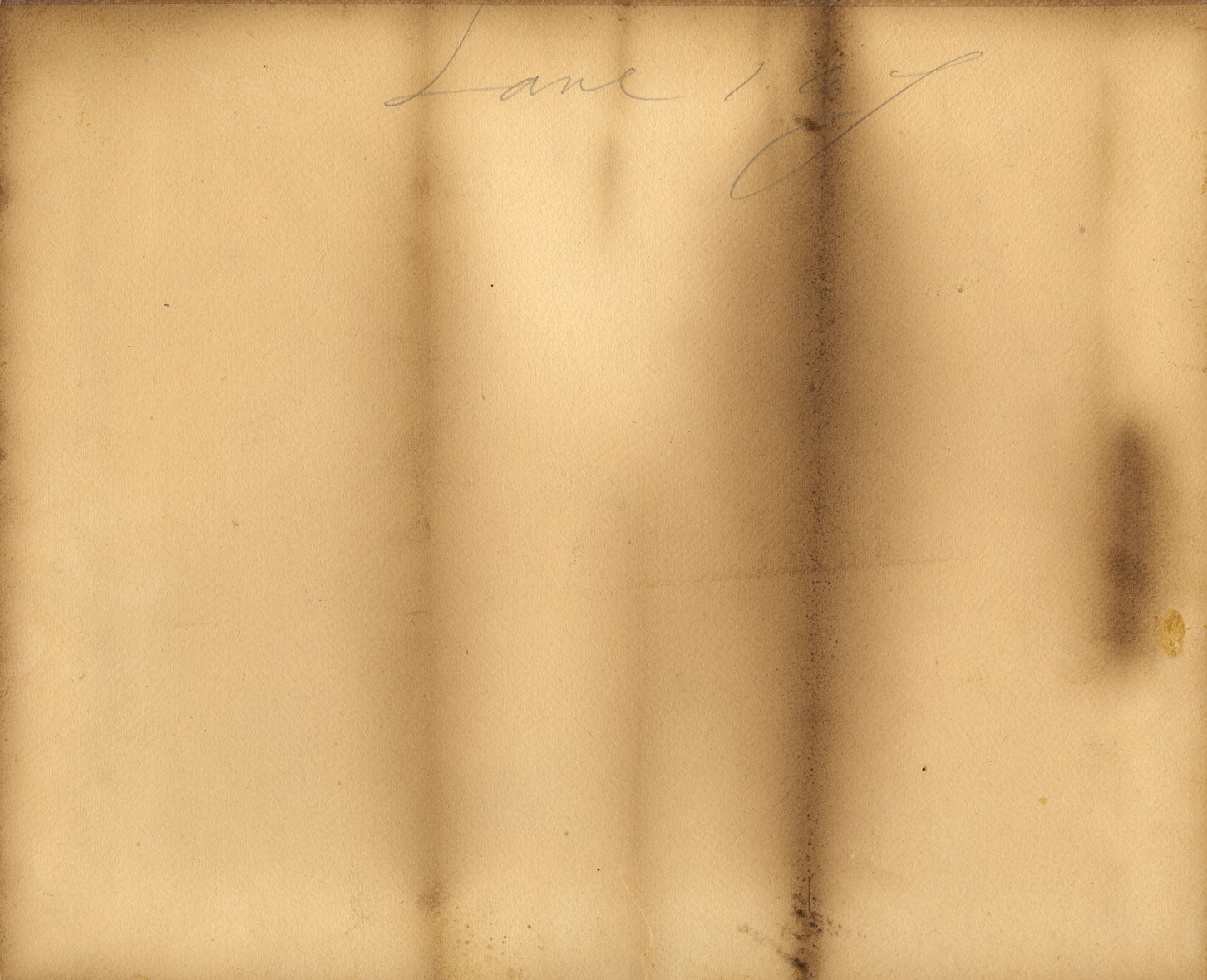 Alfred Vevier de Poncy, Lion & Lioness – late 19th-century pastel drawing