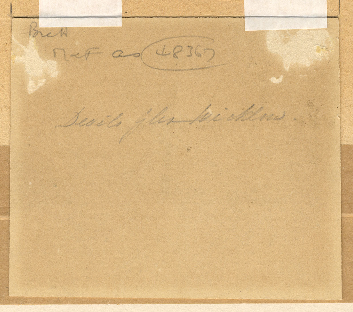 Devil's Glen, Co Wicklow, Ireland – Miniature early 19th-century watercolour