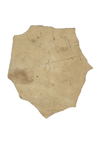 Scottish Clansman with Crann Tara Fiery Cross –19th-century watercolour painting