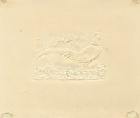 Faisán dorado – Pintura original en acuarela del siglo XIX