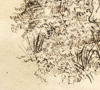 W.W. Ward, Water Buffalo – Original 1872 pen & ink drawing