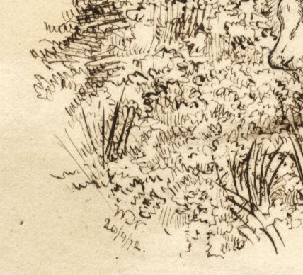 W.W. Ward, Water Buffalo – Original 1872 pen & ink drawing