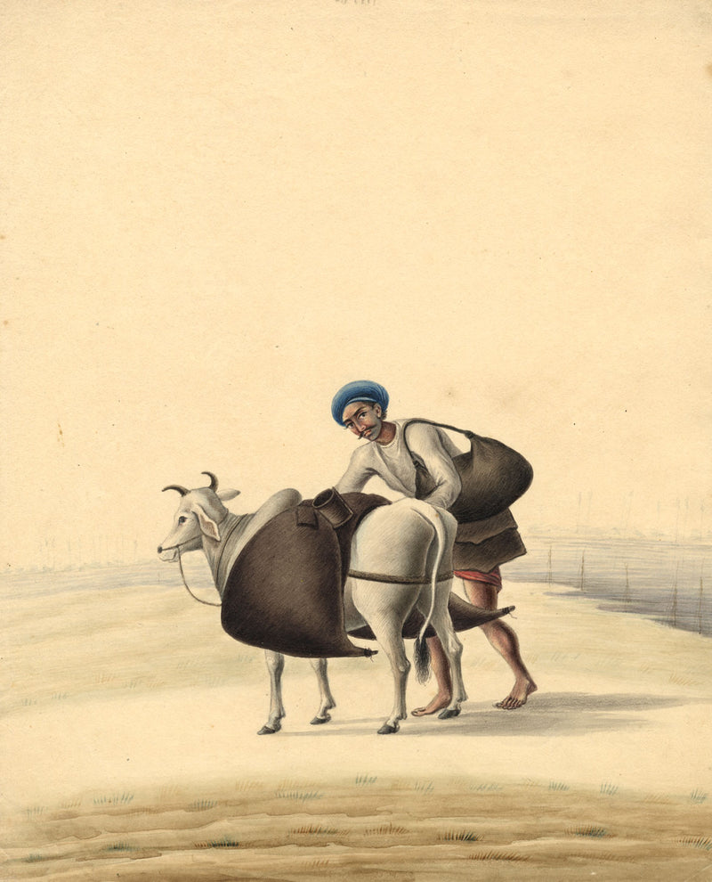 Indian Company School – Behitshy Water Carrier