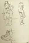 Harold Kopel ROI, Female Nude Life Study, Standing Poses 3 – 1958 drawing