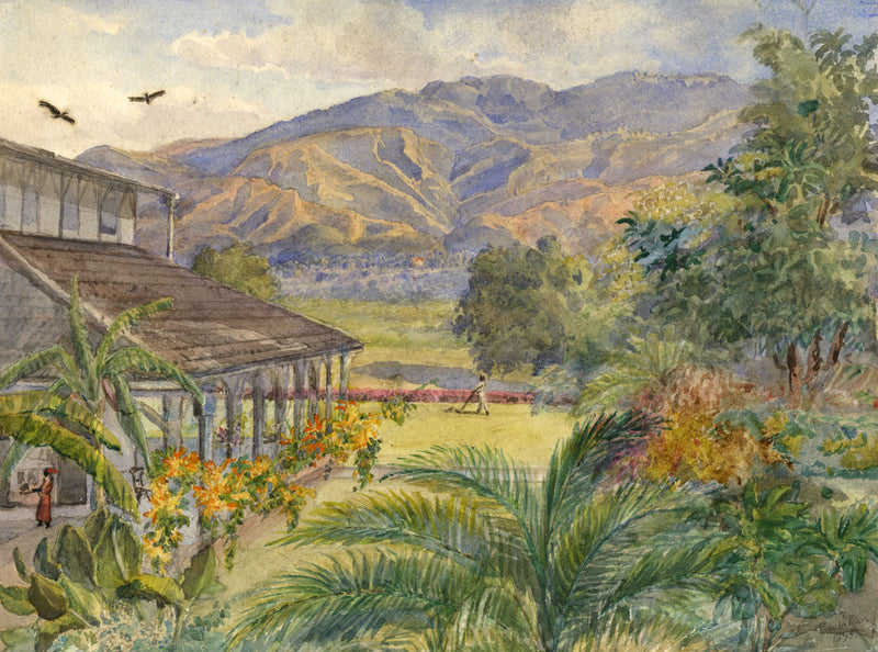 F. de la Poer, Out of My Window, King's House, Jamaica – 1895 watercolour