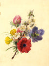 Hawthorn Blossom with Anemone Flower Posy – mid-19th-century watercolour