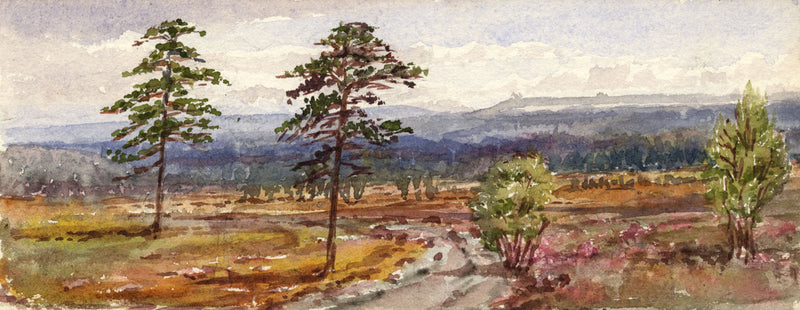 Emily Bruce, Woolmer Forest, Hampshire – Original 1889 watercolour painting