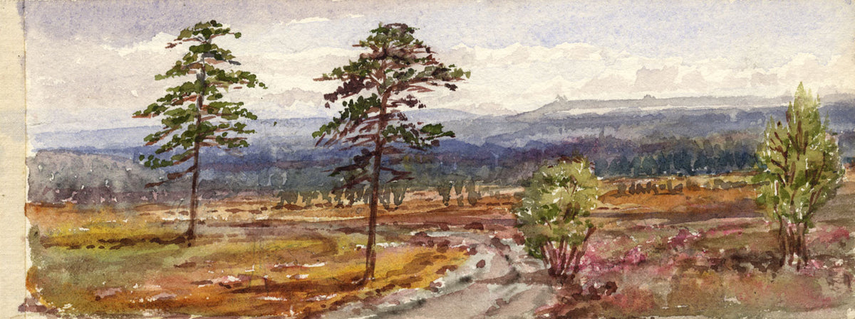 Emily Bruce, Woolmer Forest, Hampshire – Original 1889 watercolour painting